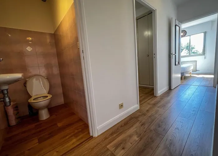 Carla - Vue Clim Wifi Parking - By Tgb * Ajaccio (Corsica)